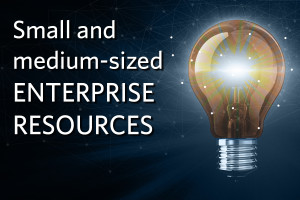 Small and Medium Sized Enterprises Resources image of lightbulb and circuitry