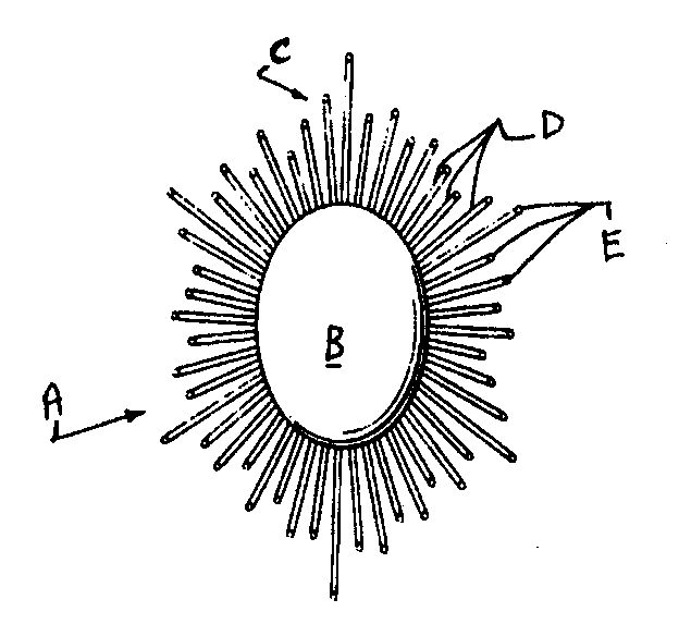 Image 1 for class 362 subclass 571